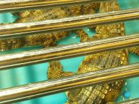 乐鱼官网 -关于x泙?愫D匫l?/?e鱥墭-┨J炀?CI軐?尚?P8苸?罾蕚⑨觽+